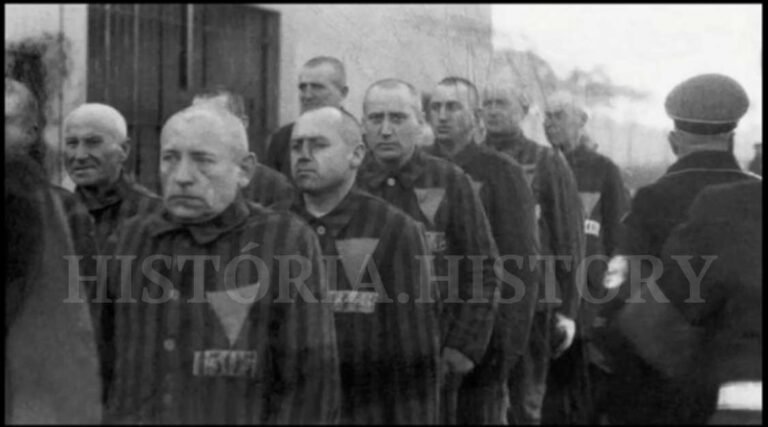 como os nazistas identificavam e humilhavam priosioneiros homossexuais